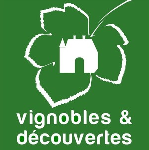 Vignoble et dcouverte